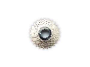 Cassette Xtrabike 10v 11-25 shimano