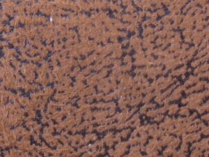 STUURLINT LEATHERLOOK SUPERGRIP BRUIN