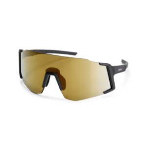 Bril Sabre Zwart/Goud Revo