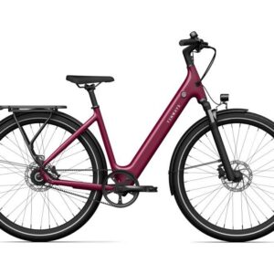 CGO800S Wild Berry